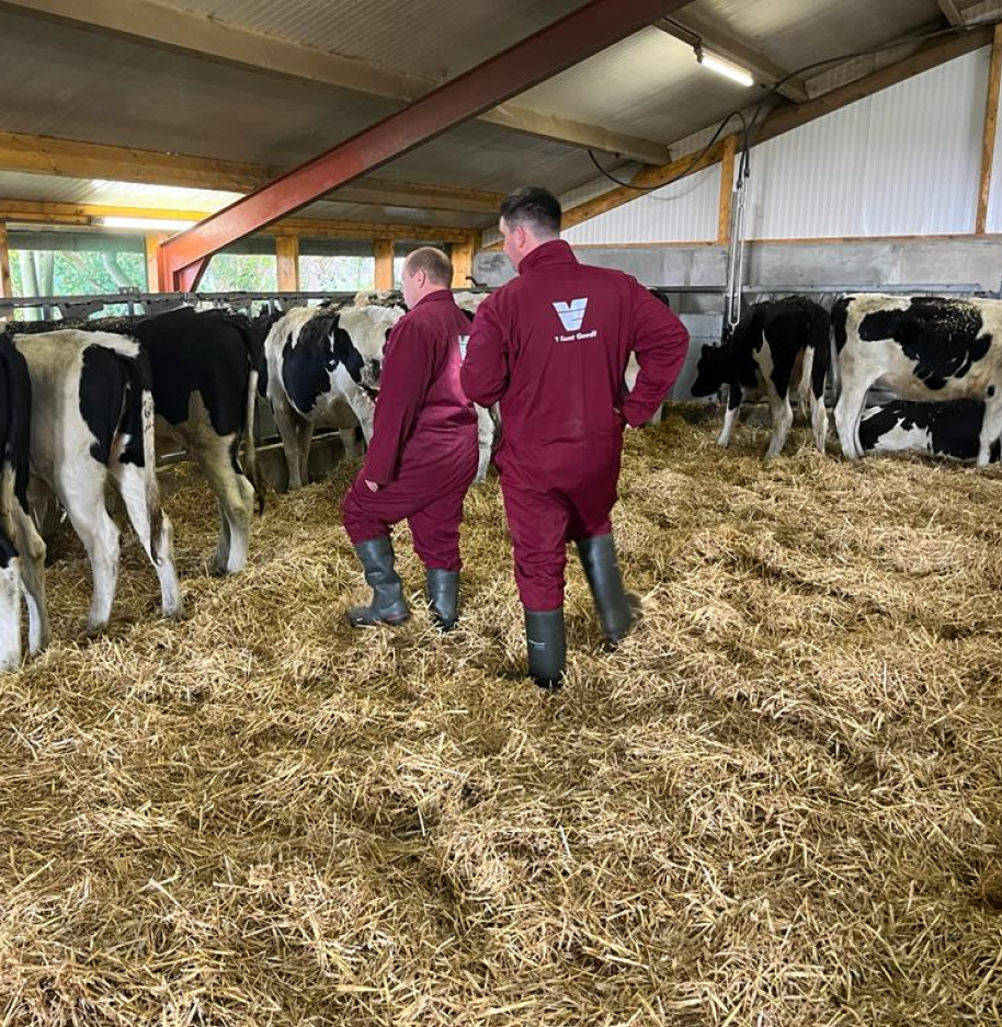 ОАО «Батчи»