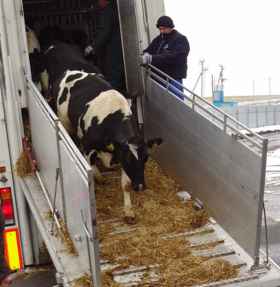 ОАО «Агро-Заречье»