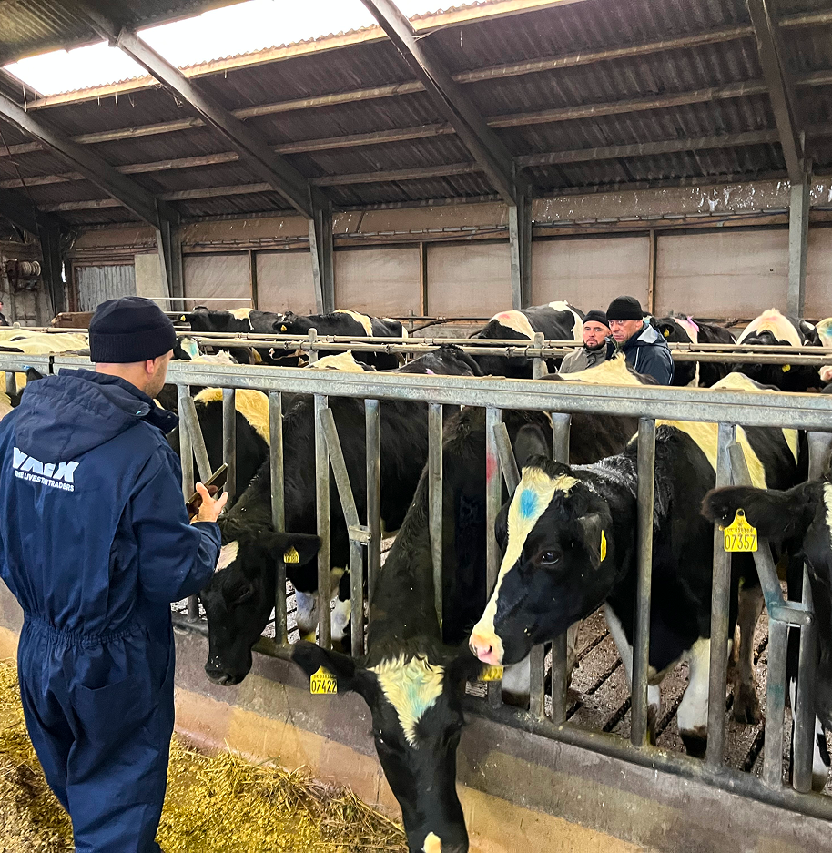 ОАО «Видомлянское»