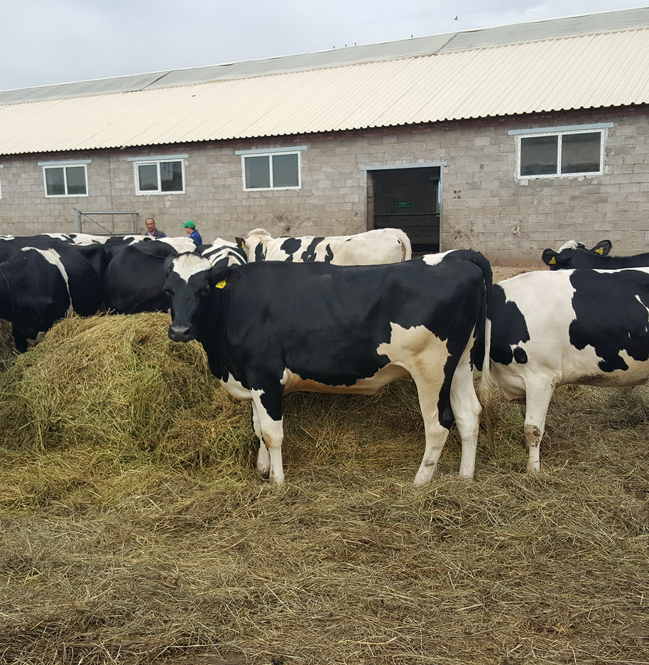 УП «Савушкин Луч»