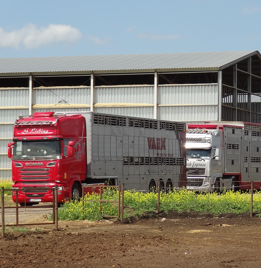 СПК «Федорский»